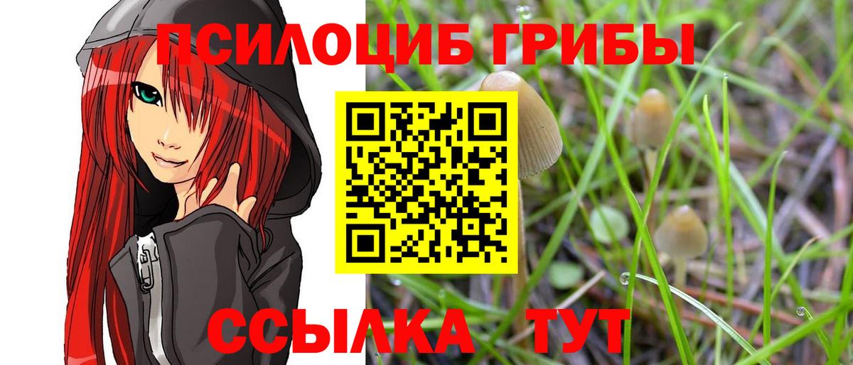 Галлюциногенные грибы GOLDEN TEACHER  Вход с VPN  как найти наркотики  Семёнов 