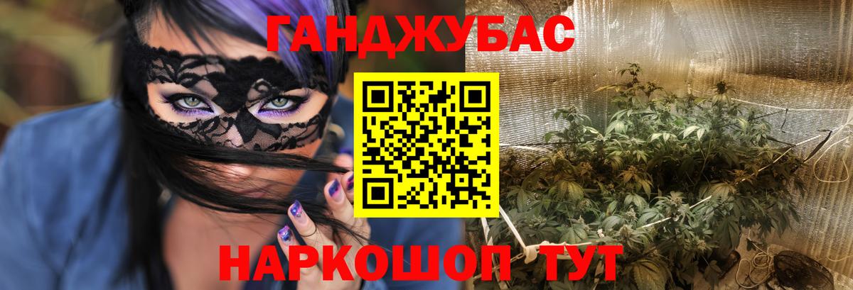 Бошки Шишки семена  МАРИХУАНА SATIVA & INDICA  Семёнов  Конопля конопля  Вход с VPN  Каннабис Ganja 